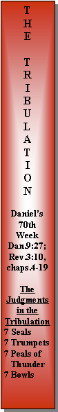 Text Box: THE TRIBULATIONDaniels 70th WeekDan.9:27; Rev.3:10, chaps.4-19TheJudgmentsin the Tribulation7 Seals7 Trumpets7 Peals of    Thunder 7 Bowls