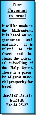 Text Box: New Covenant to IsraelIt will be made in the Millennium.  It is based on regeneration and maturity.  It is related to the Cross and includes the universal indwelling of the Holy Spirit.  There is a promise of great material prosperity for Israel.  Jer.31:31-34, 41; Isa.61:8; Eze.34:25-27